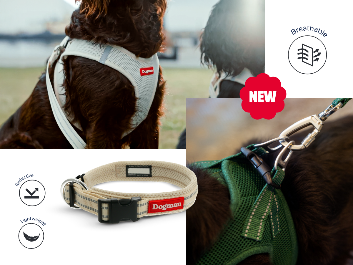 ContentImageBlock Image