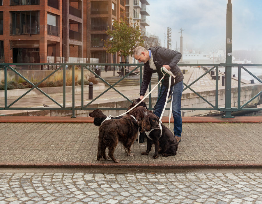 ContentImageBlock Image