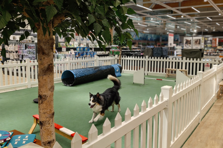 ContentImageBlock Image