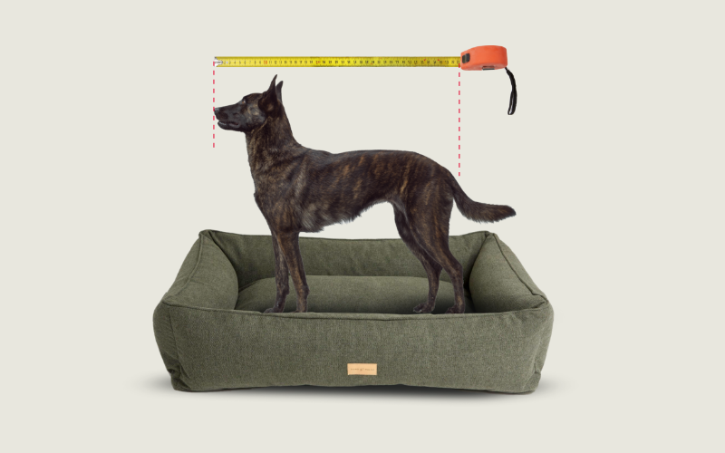 ContentImageBlock Image