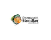 Stendker