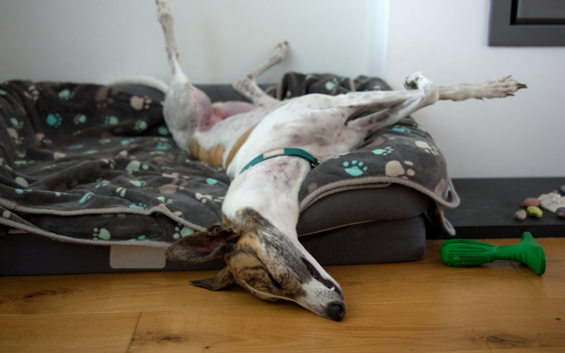 ContentImageBlock Image