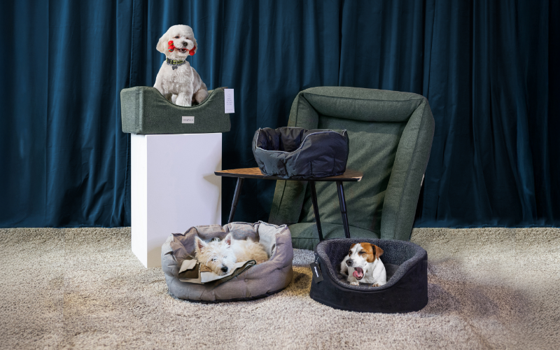 ContentImageBlock Image