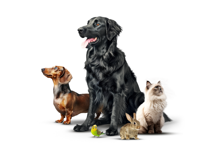 ContentImageBlock Image