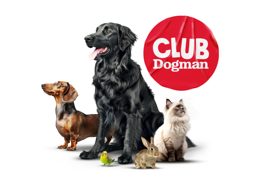 ContentImageBlock Image