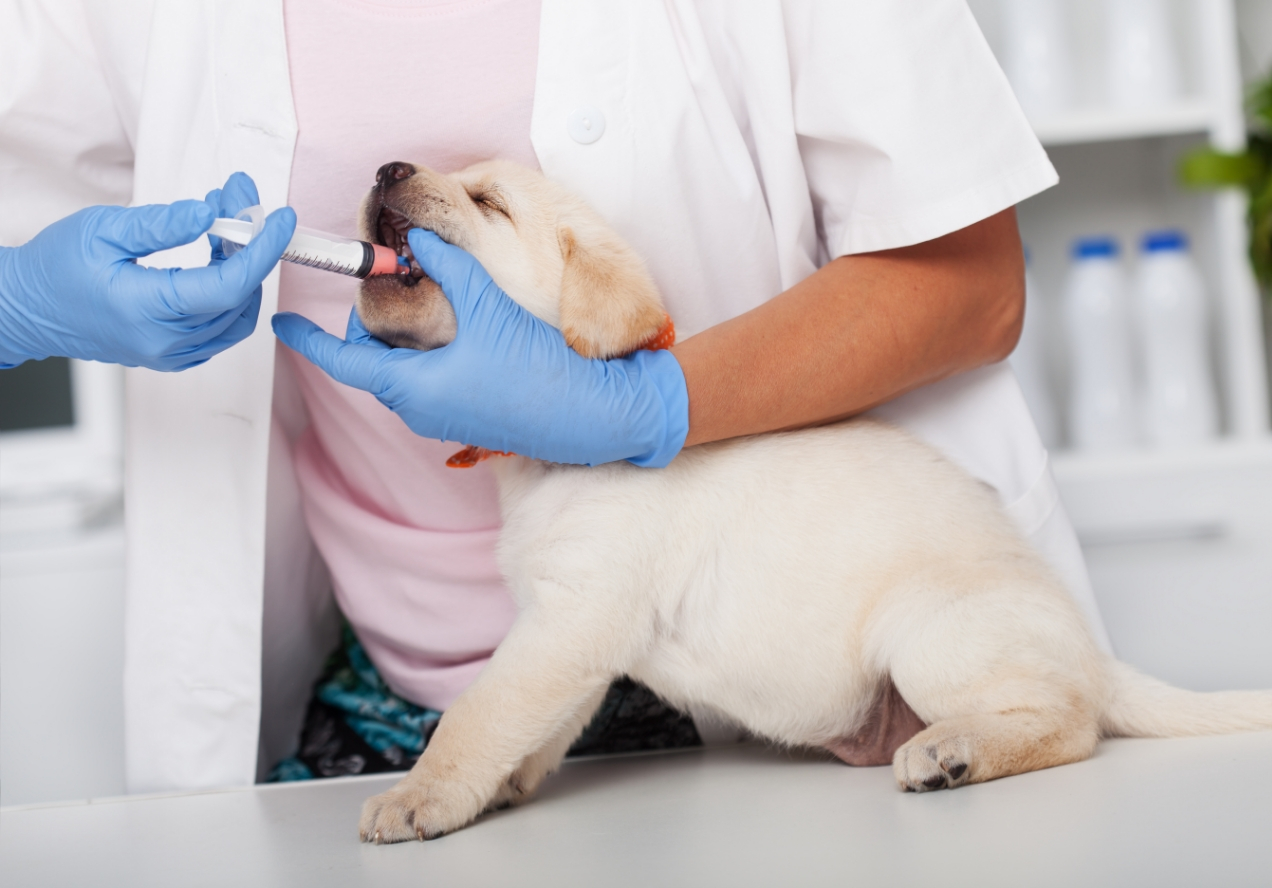 ContentImageBlock Image