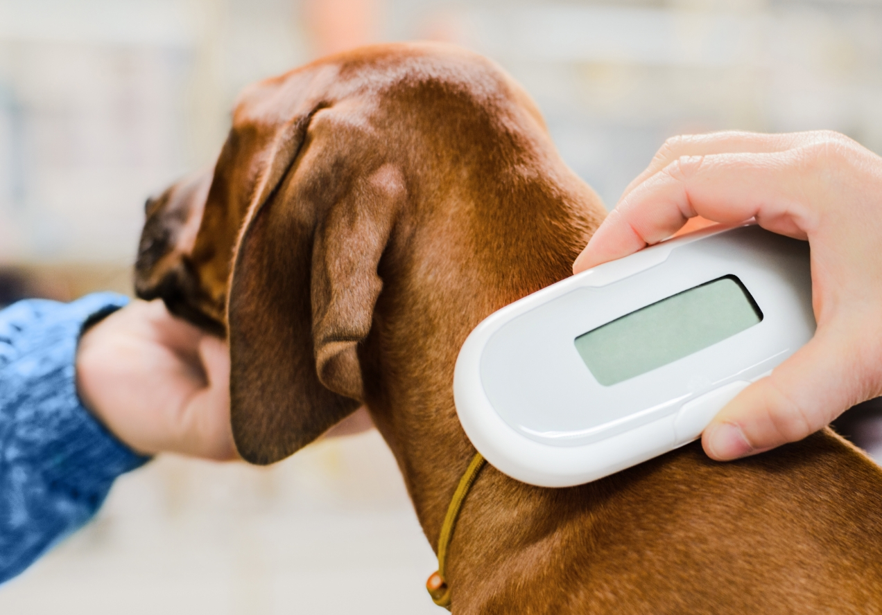 ContentImageBlock Image