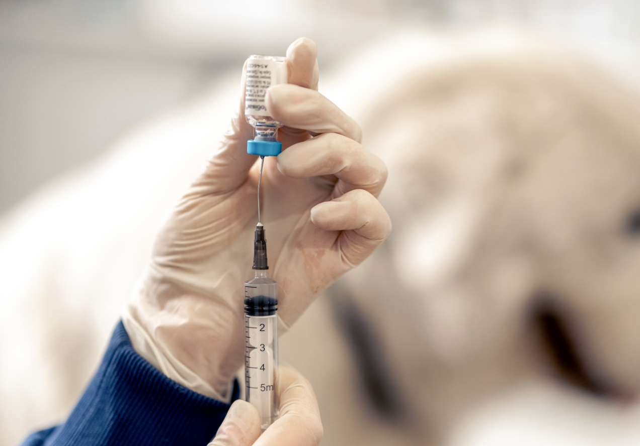 ContentImageBlock Image