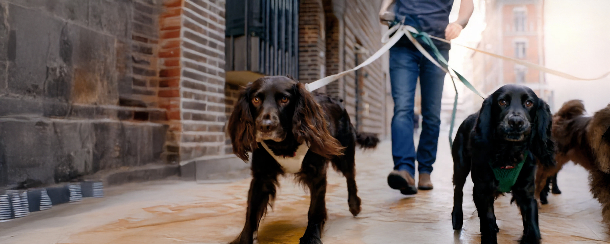 ContentImageBlock Image