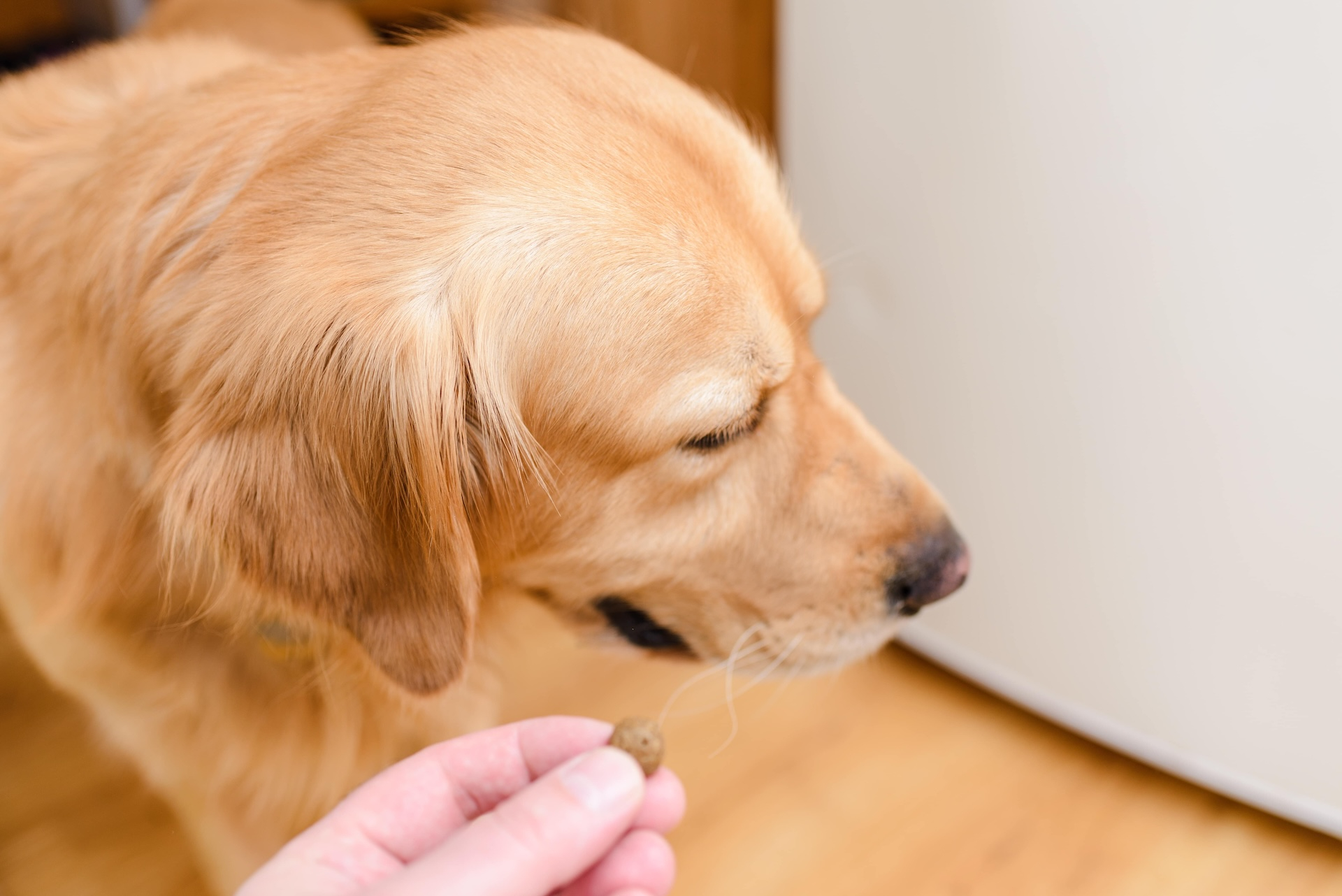 ContentImageBlock Image