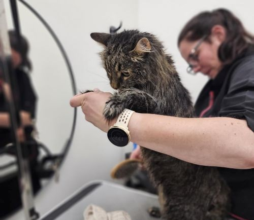 ContentImageBlock Image