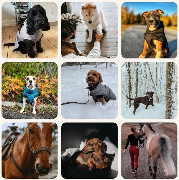 ContentImageBlock Image