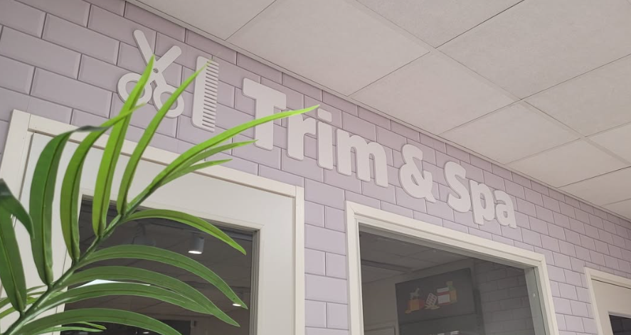 ContentImageBlock Image