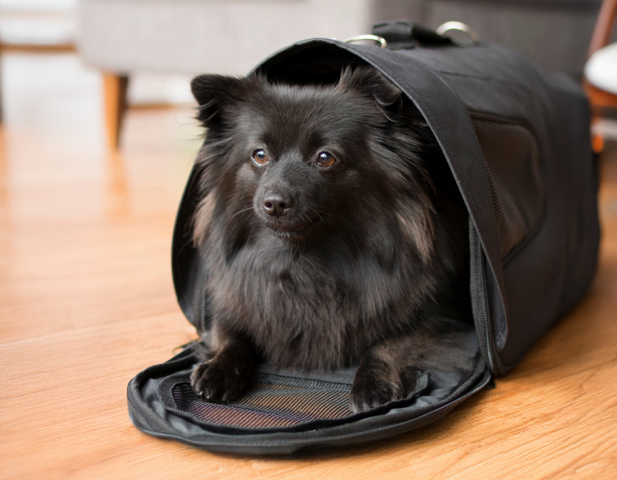 ContentImageBlock Image