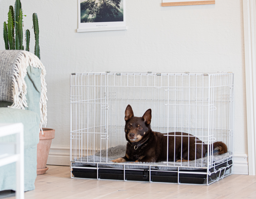 ContentImageBlock Image