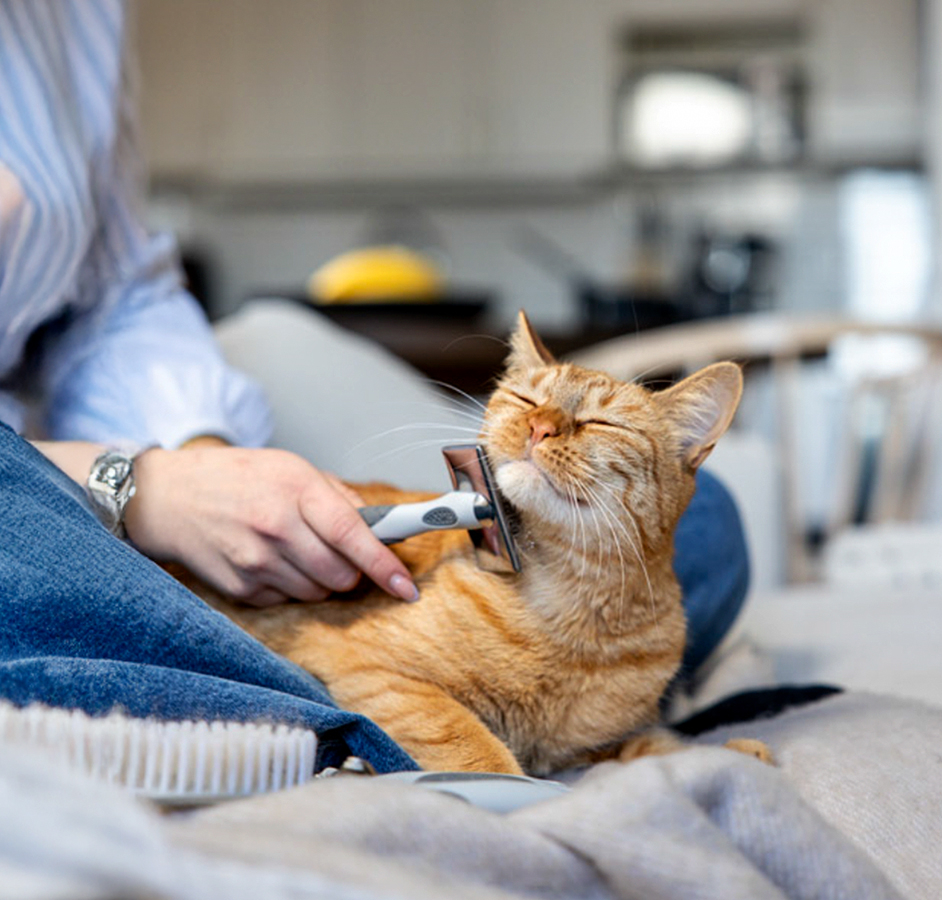 ContentImageBlock Image