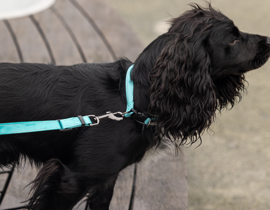 ContentImageBlock Image