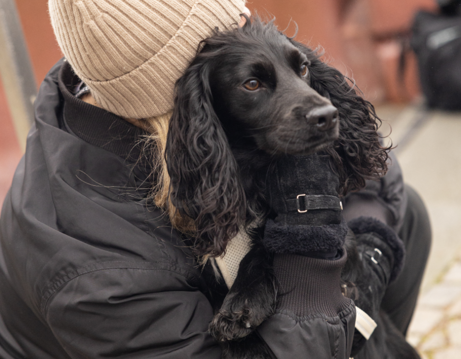 ContentImageBlock Image