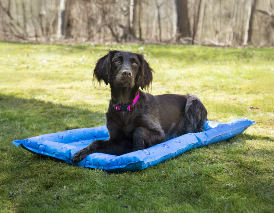 ContentImageBlock Image