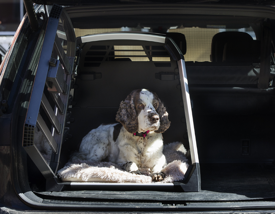 ContentImageBlock Image