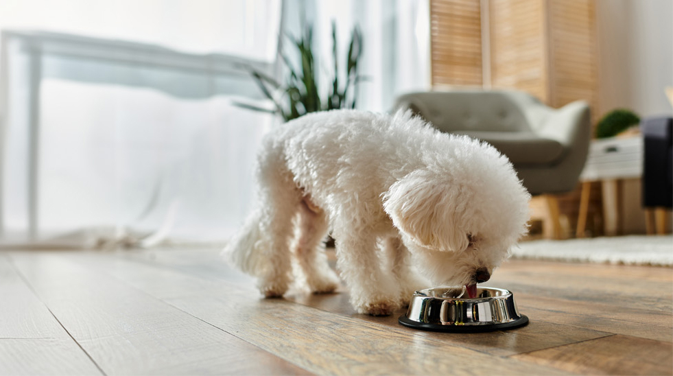 ContentImageBlock Image