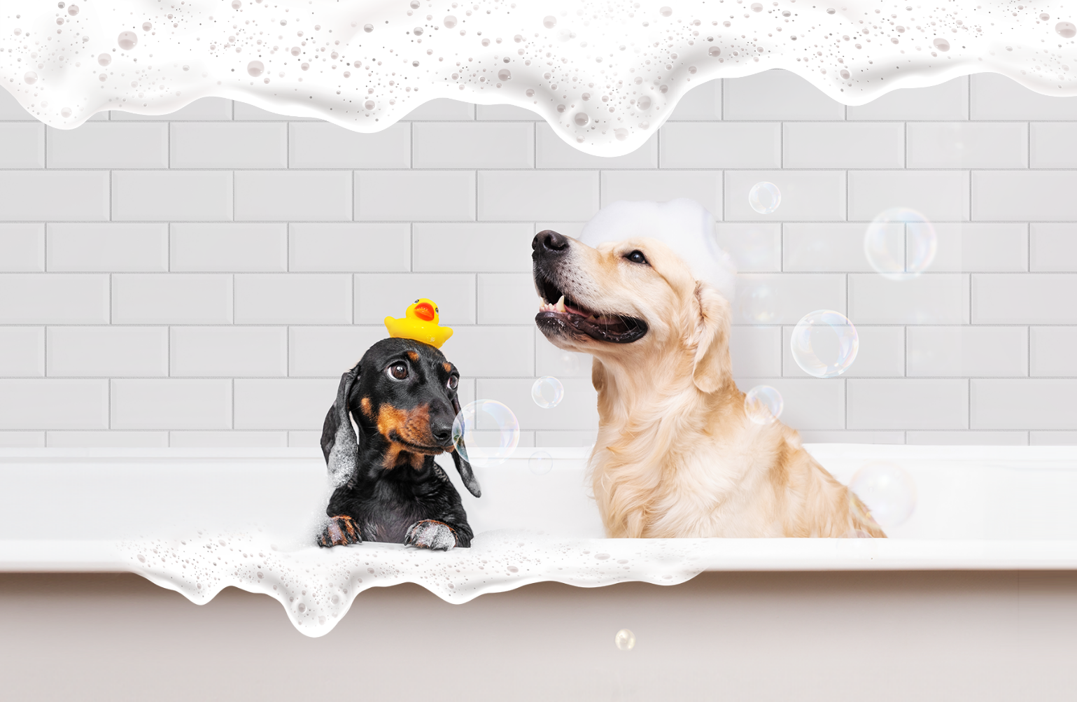 ContentImageBlock Image