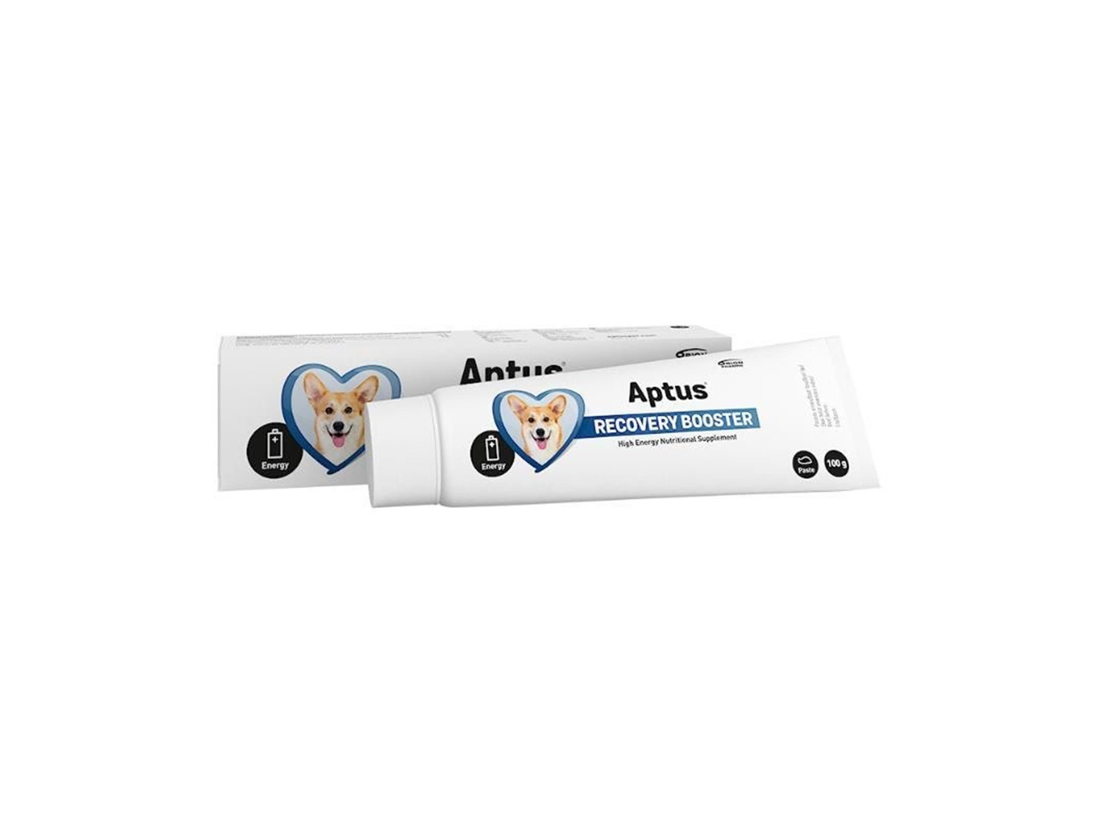 Recobooster Dog 100g