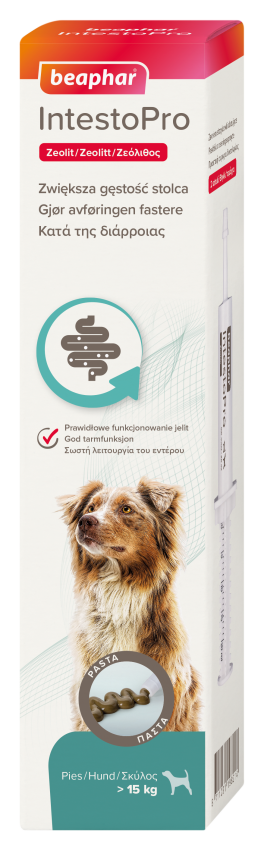 IntestoPro Pasta Hund <15kg 40ml