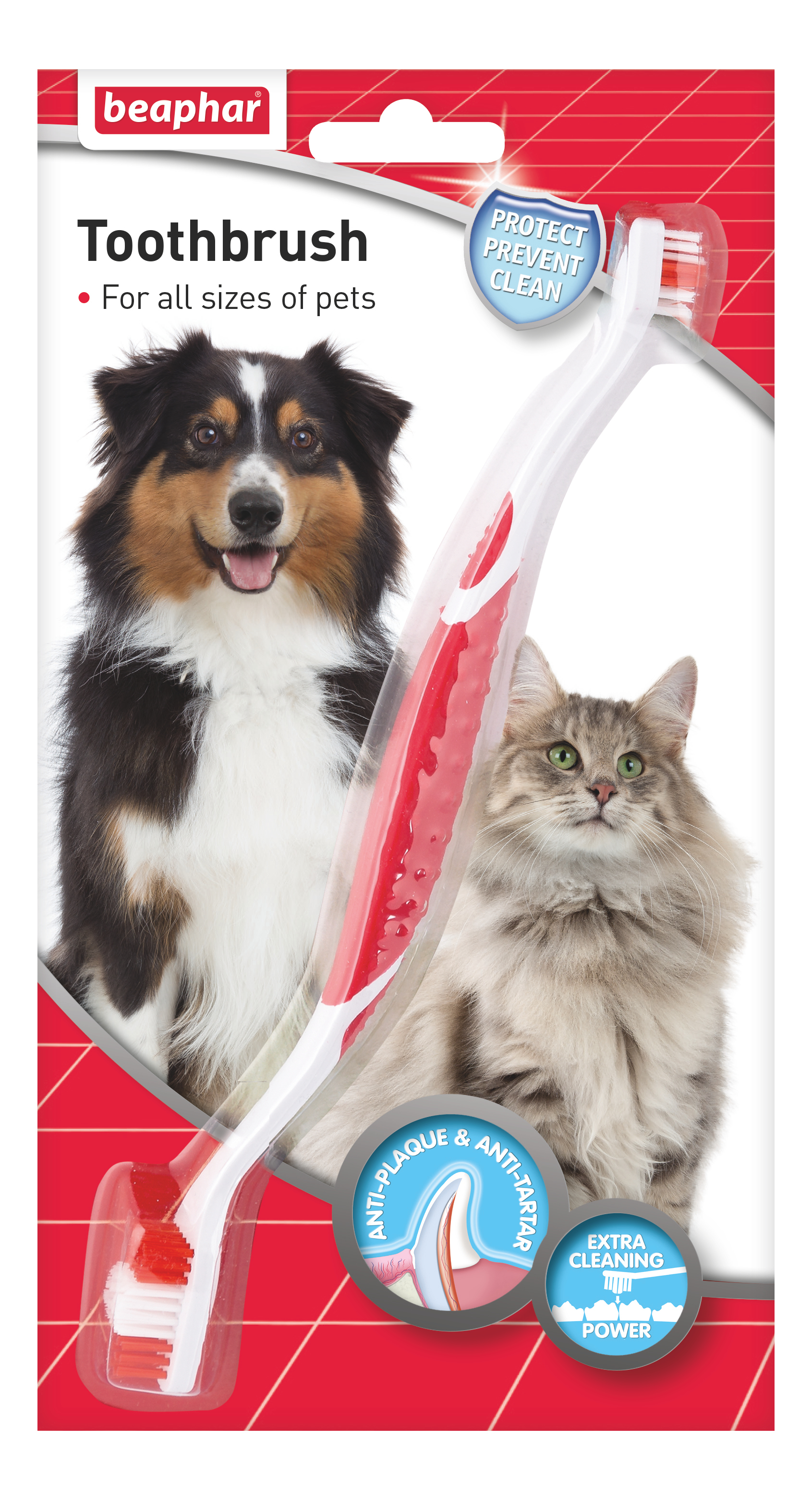 Tandborste Dubbelsidig