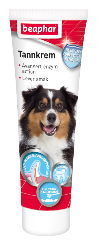 Hammastahna entsyymeillä koiralle/kissalle 100g