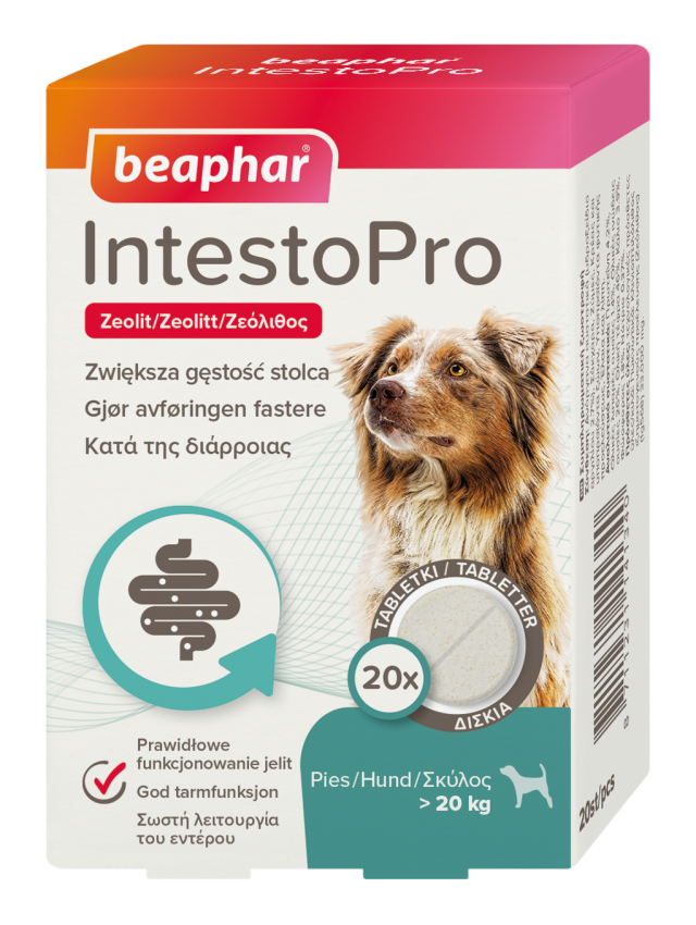 IntestoPro Tabletter Hund >20kg