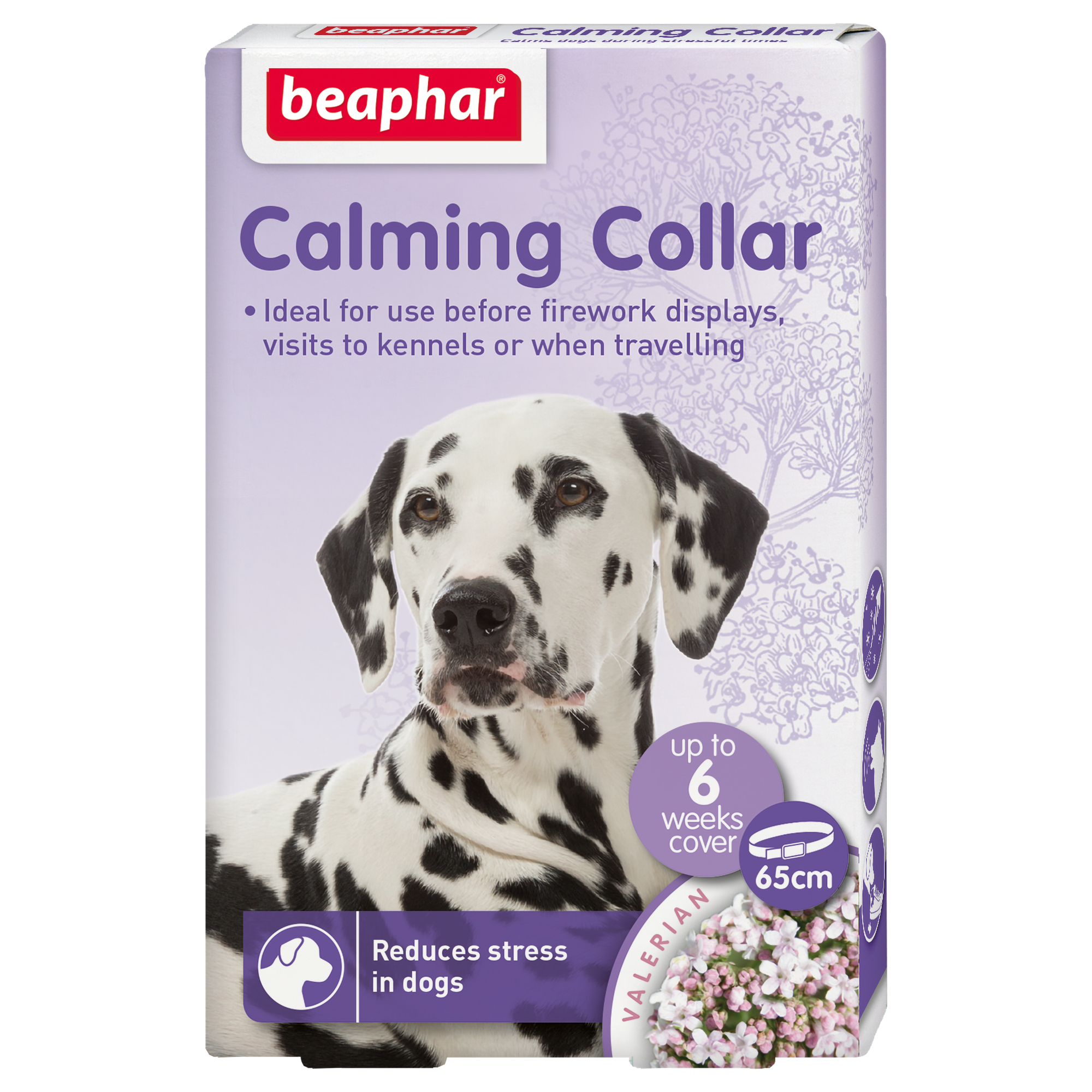 Calming koiran kaulapanta