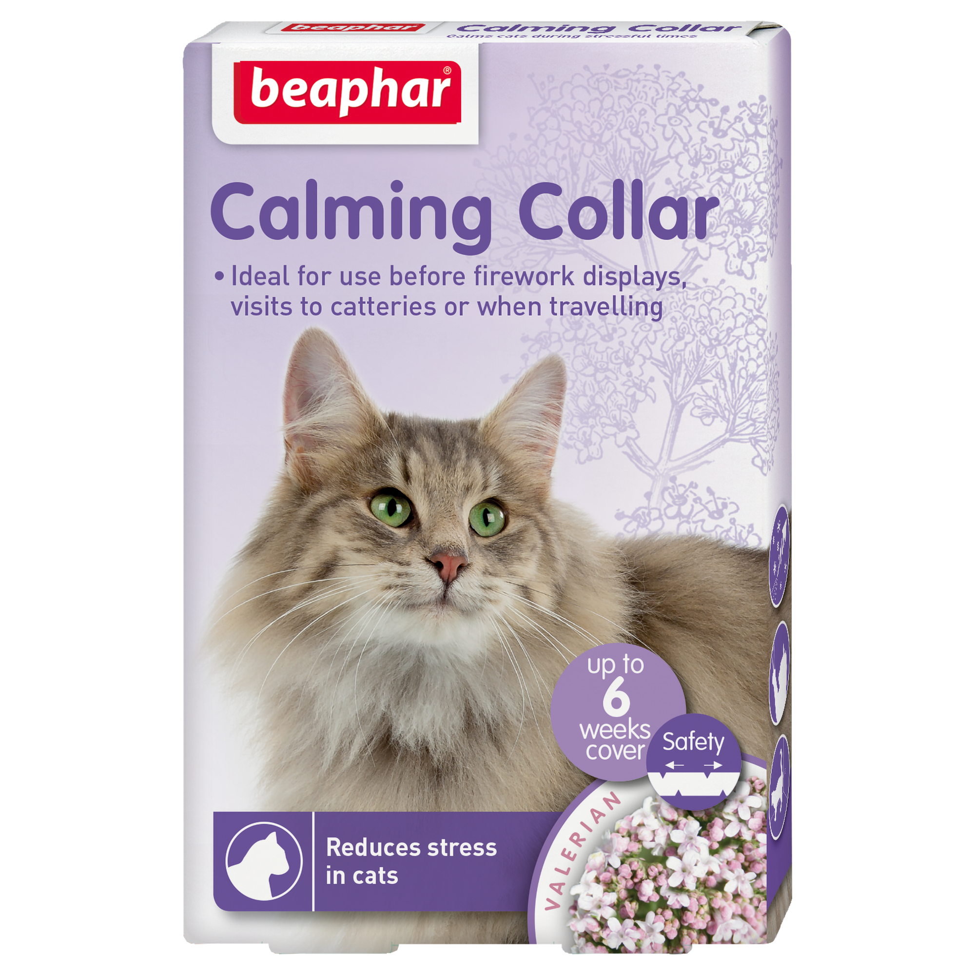 Calming kissan kaulapanta