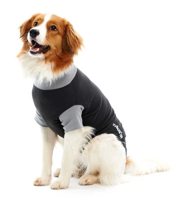 Body Suit Classic till hund