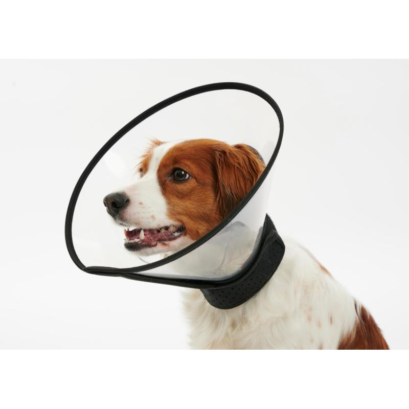 Complete Collar hundkrage 25cm