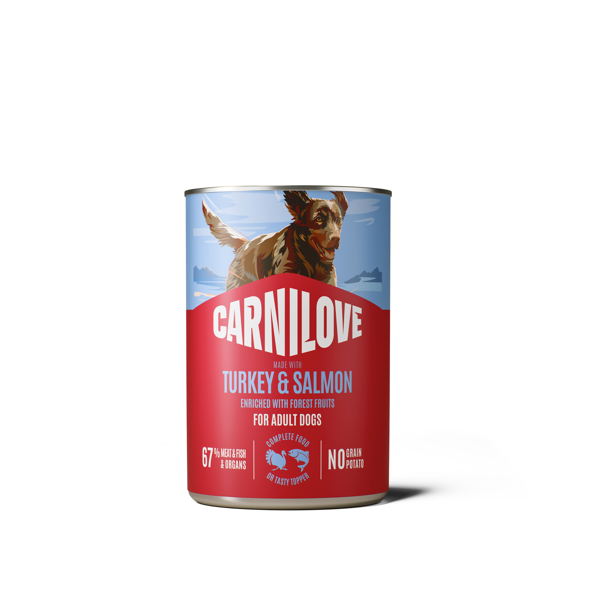 Dog Can Paté Salmon & Turkey 400g