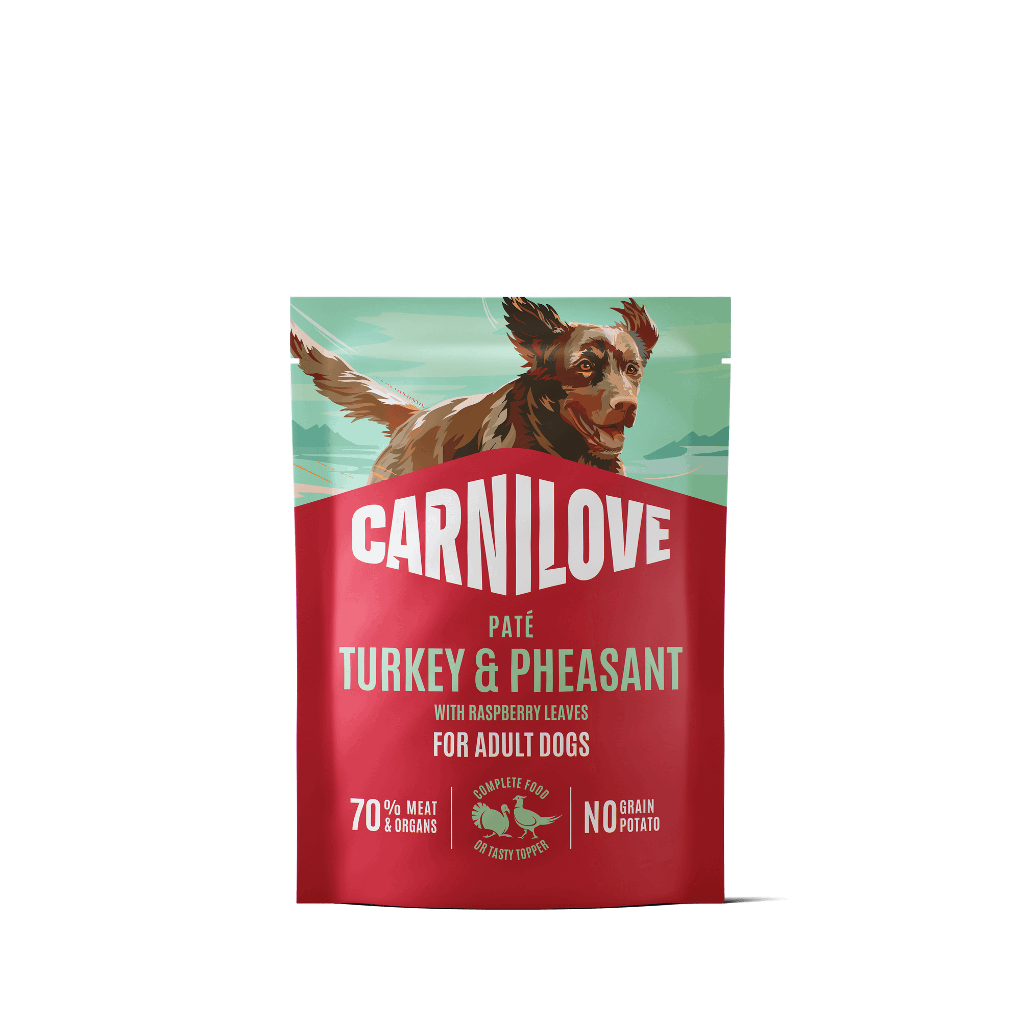 Dog Pouch Paté Turkey & Pheasant 300g