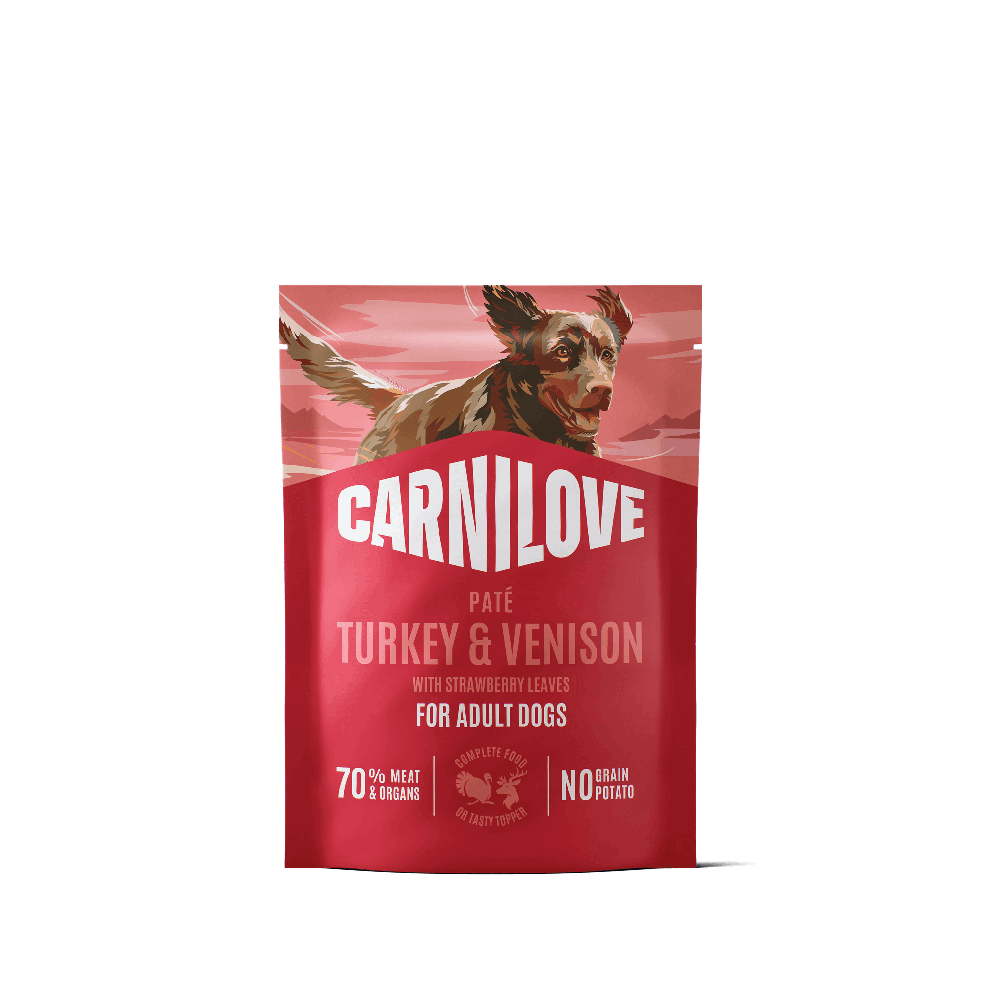 Dog Pouch Paté Turkey & Venison 300g