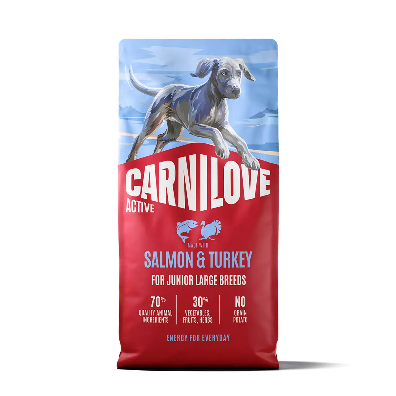 Active Dog Salmon & Turkey Junior Large Breeds