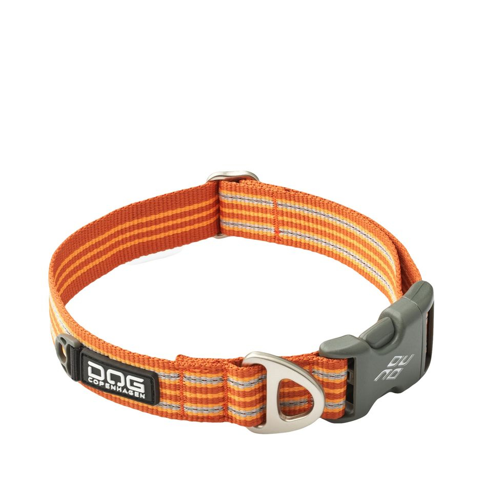 Urban Style Hundhalsband Orange