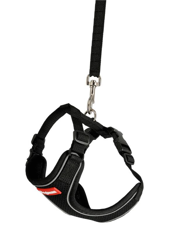 Air Mesh Setti Kissalle Musta