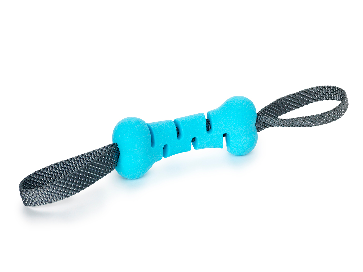 Leksak FetchBone Blå