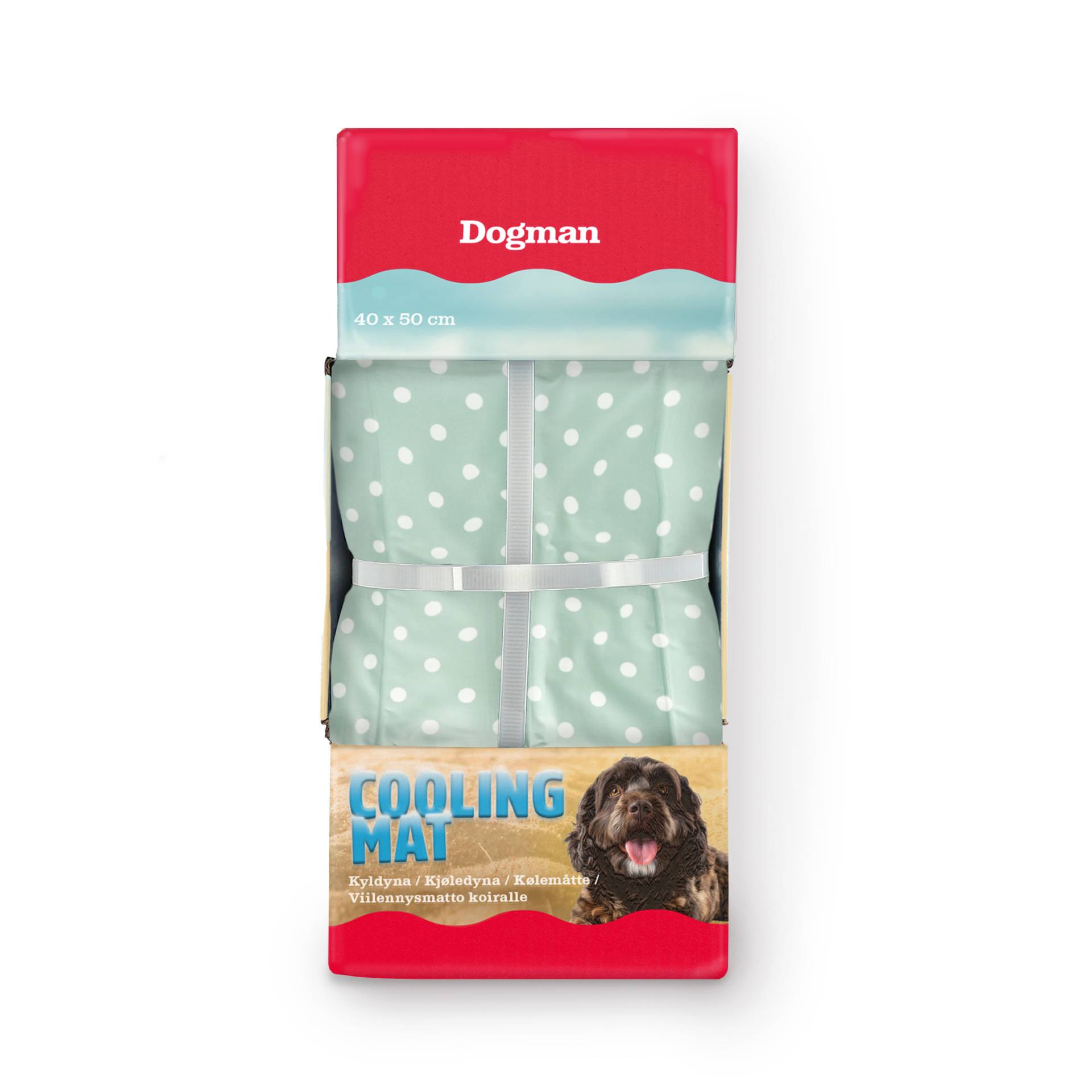 Kyldyna Prickig Turkos