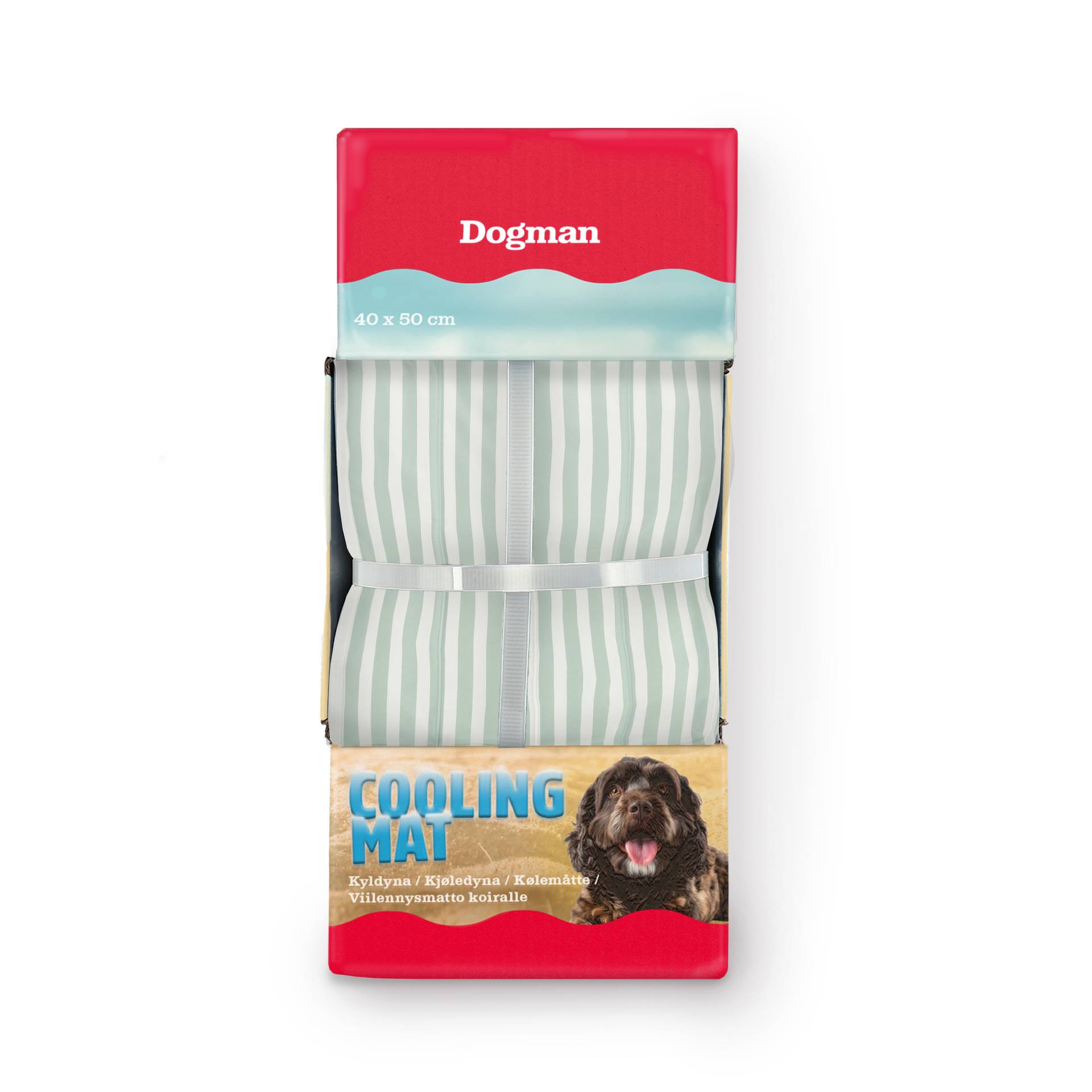 Kyldyna Randig Turkos