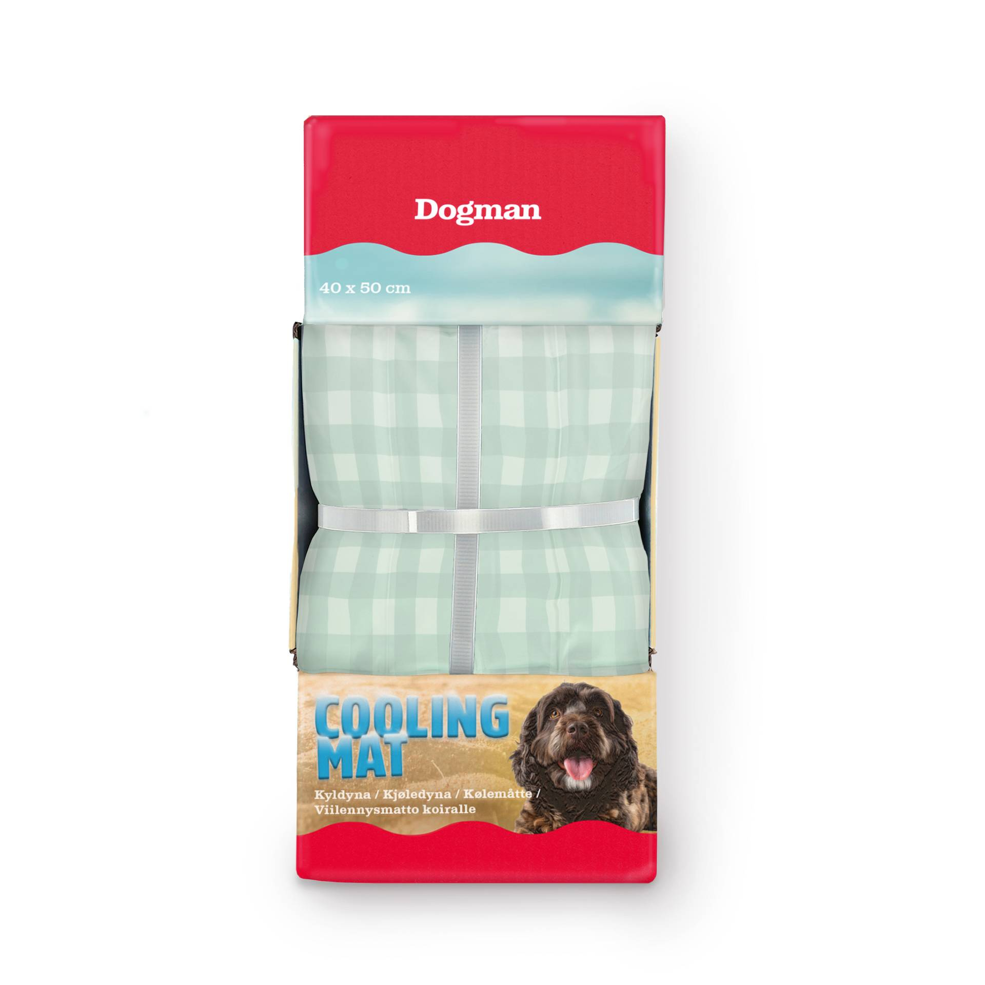 Kyldyna Rutig Turkos