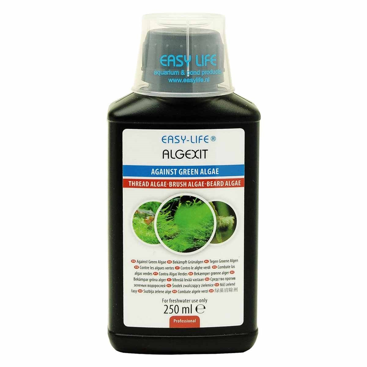 AlgExit algmedel
