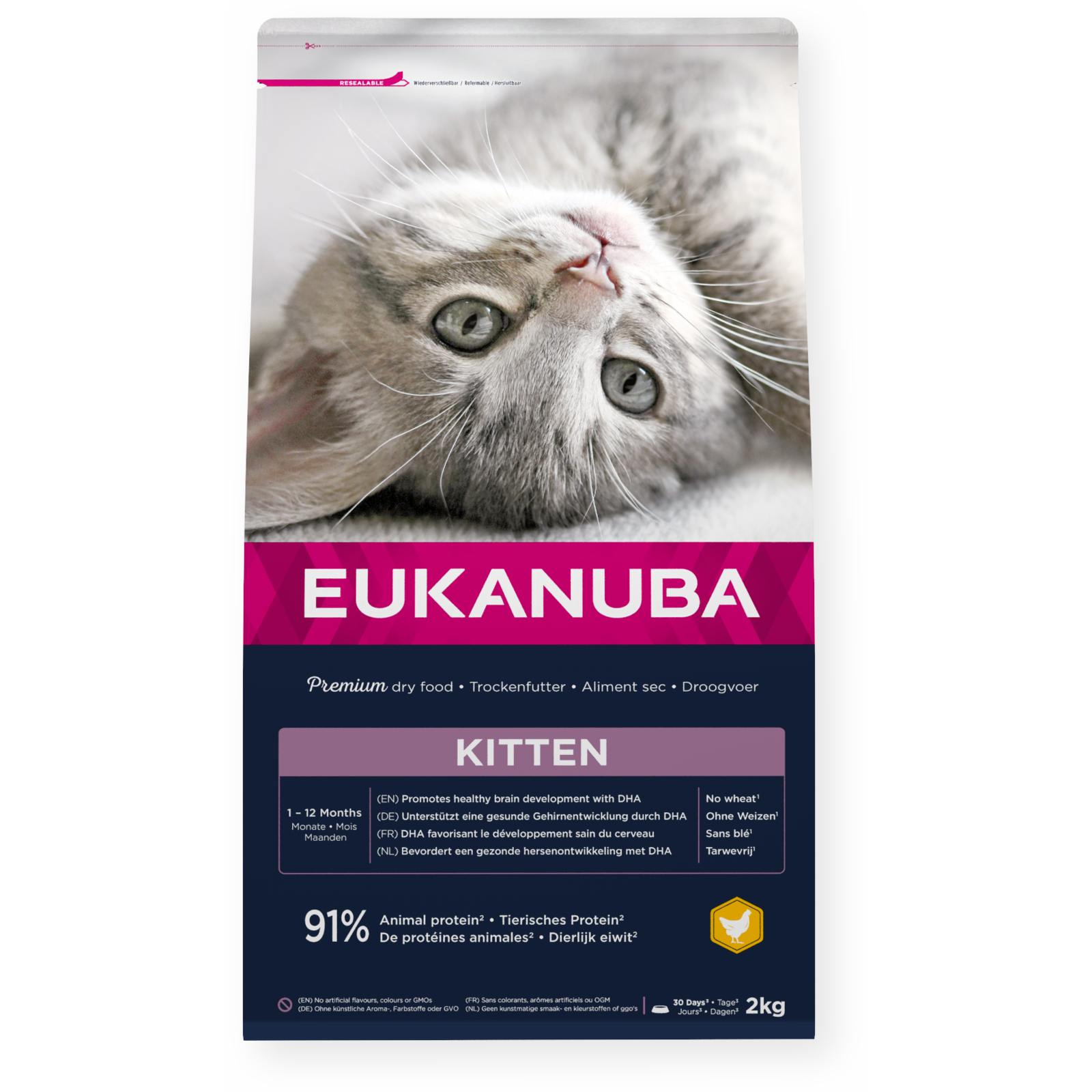 Cat Kitten Healthy Start