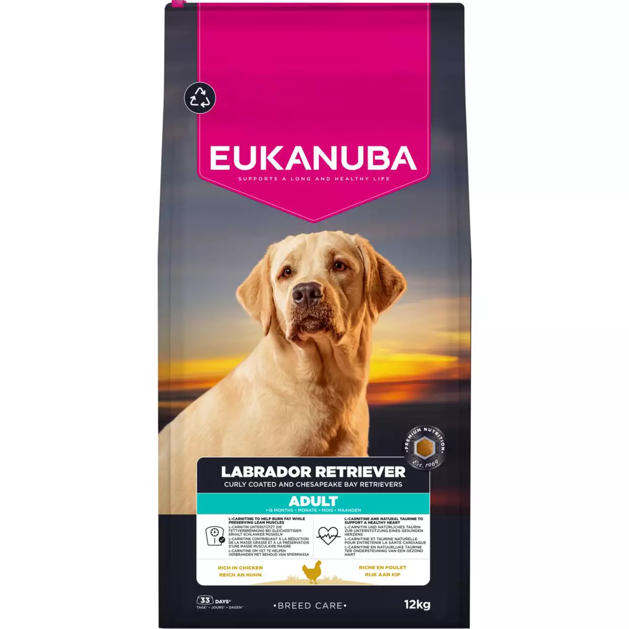 Dog Labrador 12kg
