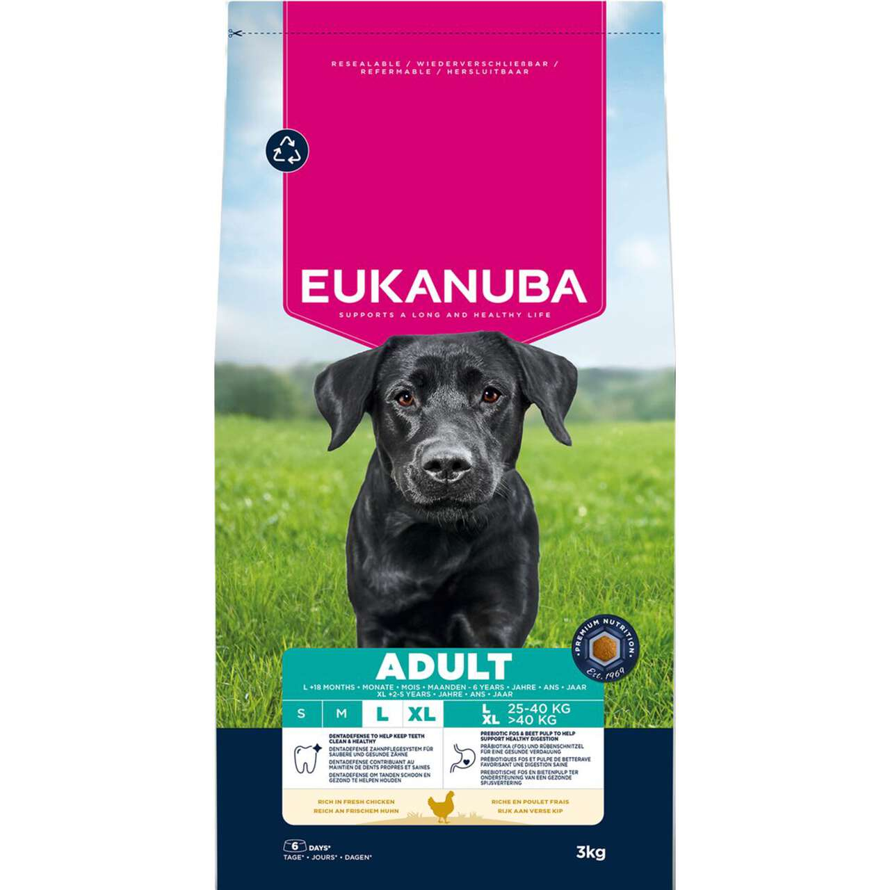 Dog Adult Large kuivaruoka koiralle