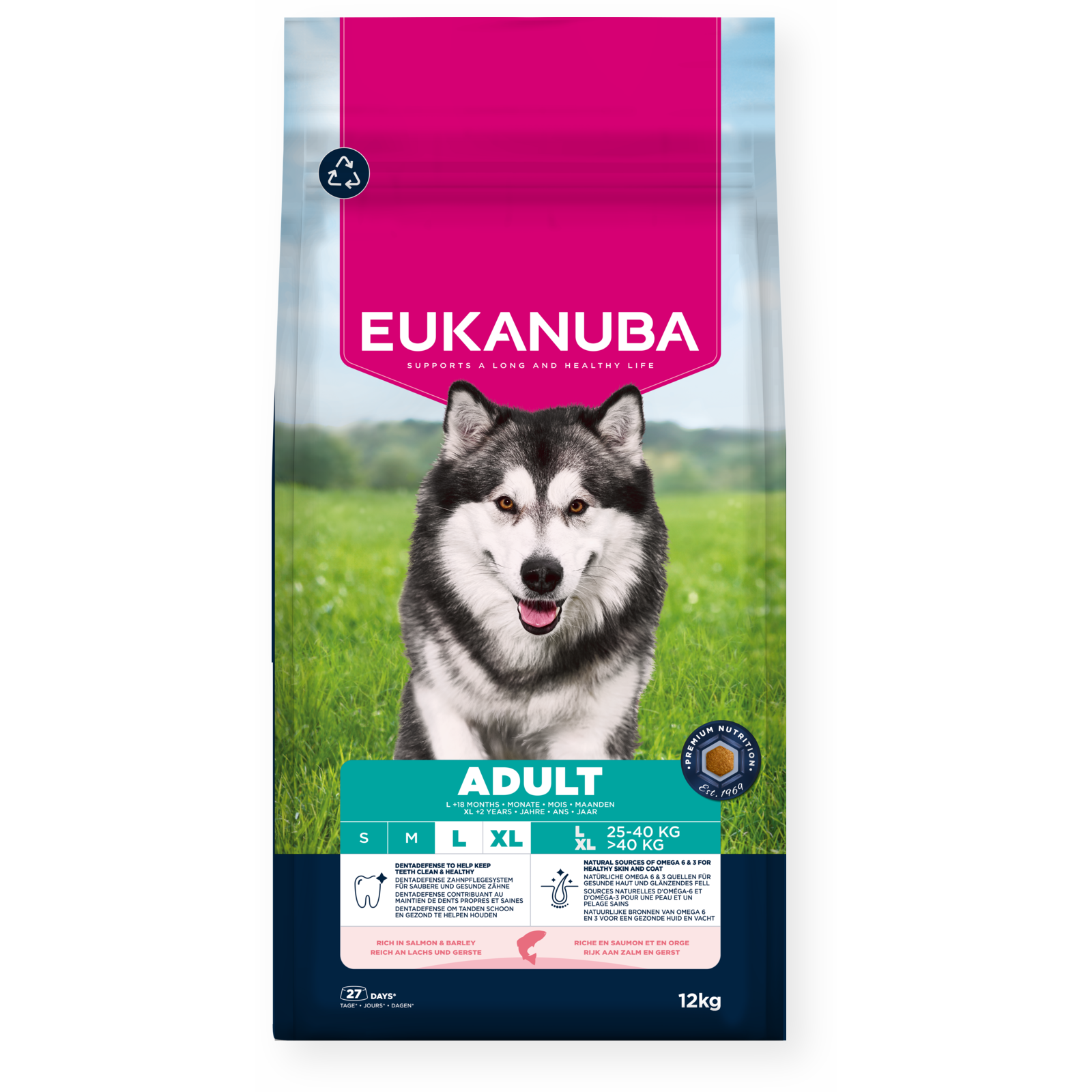 Dog Adult Large Breed Salmon & Barley 12kg